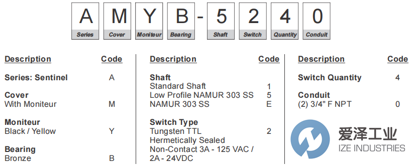 MONITEUR DEVICES变送器AMYB5240 爱泽工业 ize-industries (2).png