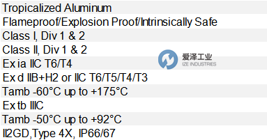 TOPWORX閥門控制器DXP-L21GN4B 愛澤工業(yè) ize-industries (2).png