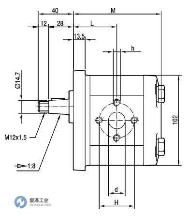 MARZOCCHI齿轮电机GHM2-R-20-E1 爱泽工业 ize-industries (4).png