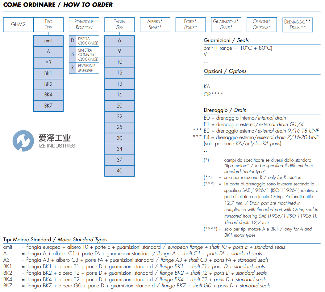 MARZOCCHI齿轮电机GHM2-R-20-E1 爱泽工业 ize-industries (1).png