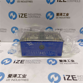 SMITT继电器KDN-B 220VDC  爱泽工业 izeindustries (1).JPG