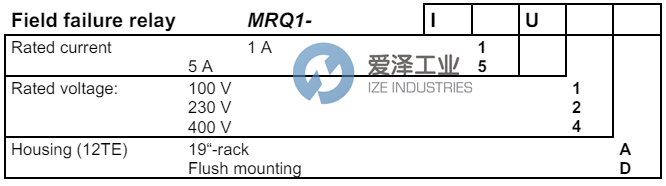 SEG继电器MRQ1I5U1D 爱泽工业 ize-industries (2).png